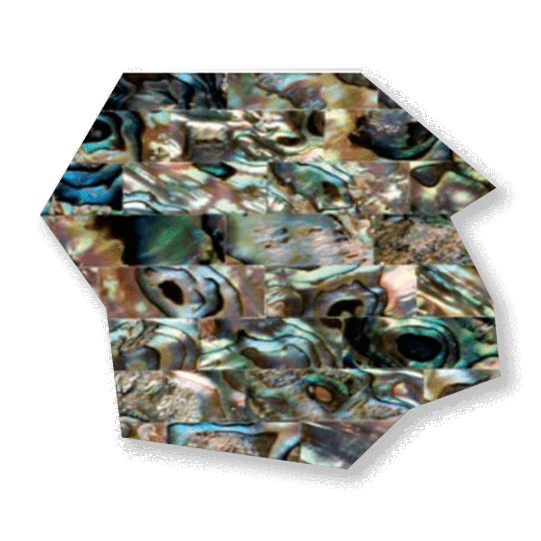 Abalone Mother of Pearl